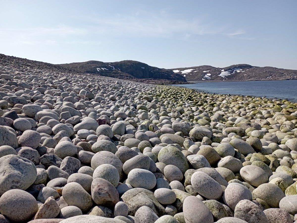 Пляж Яйца дракона, Териберка: лучшие советы перед посещением - Tripadvisor