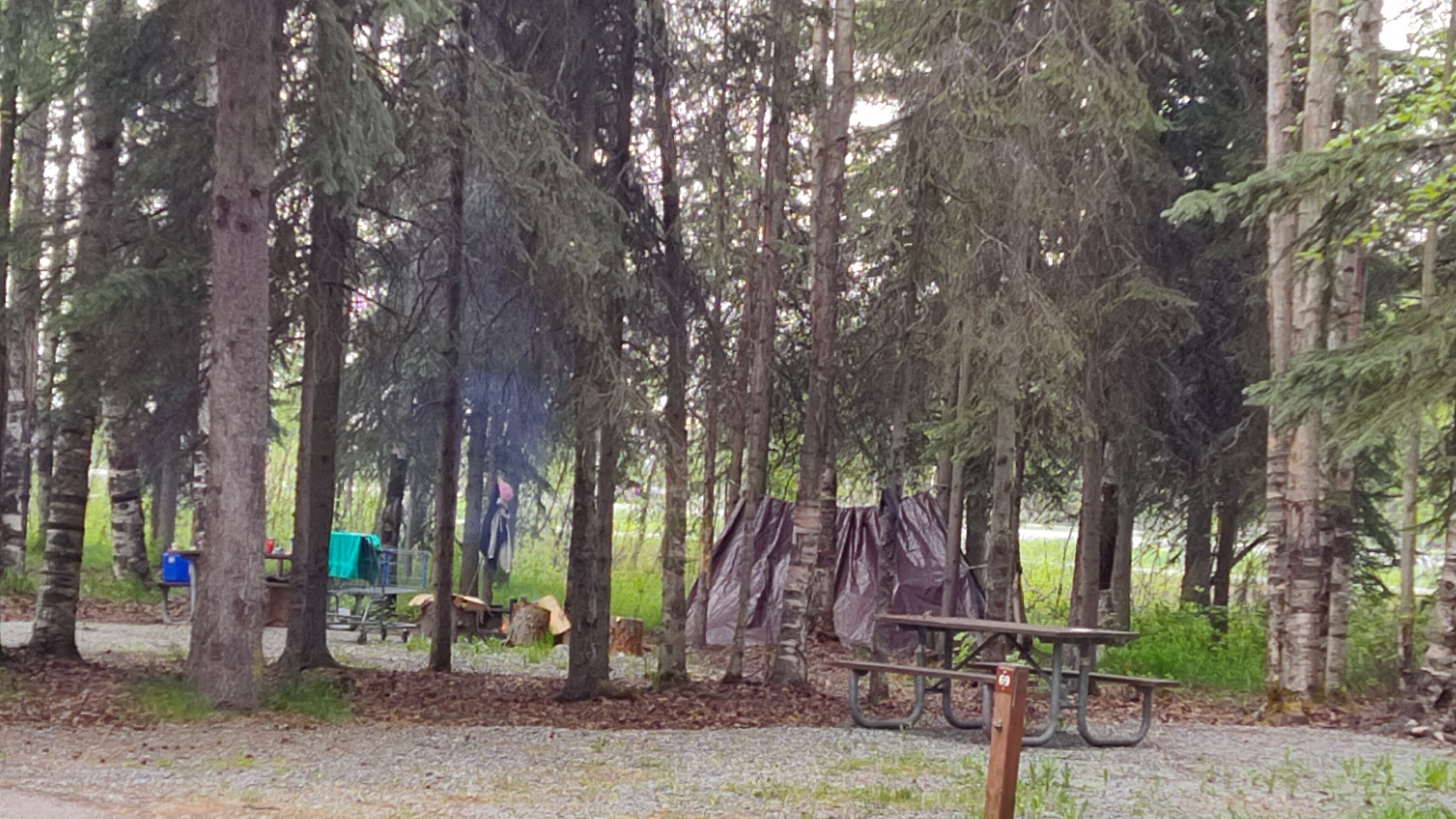 世界有名な CENTENNIAL PARK CAMPGROUND - Reviews (Anchorage, AK) コレクション