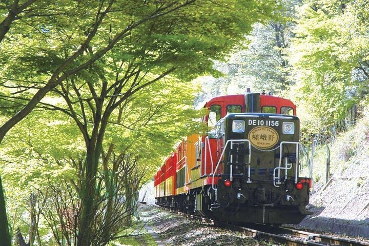THE 10 BEST Osaka Scenic Railroads (Updated 2024) - Tripadvisor