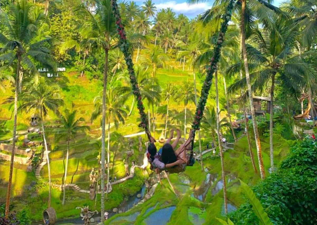 UBUD FULL DAY TOUR - Qué SABER antes de ir (2025)