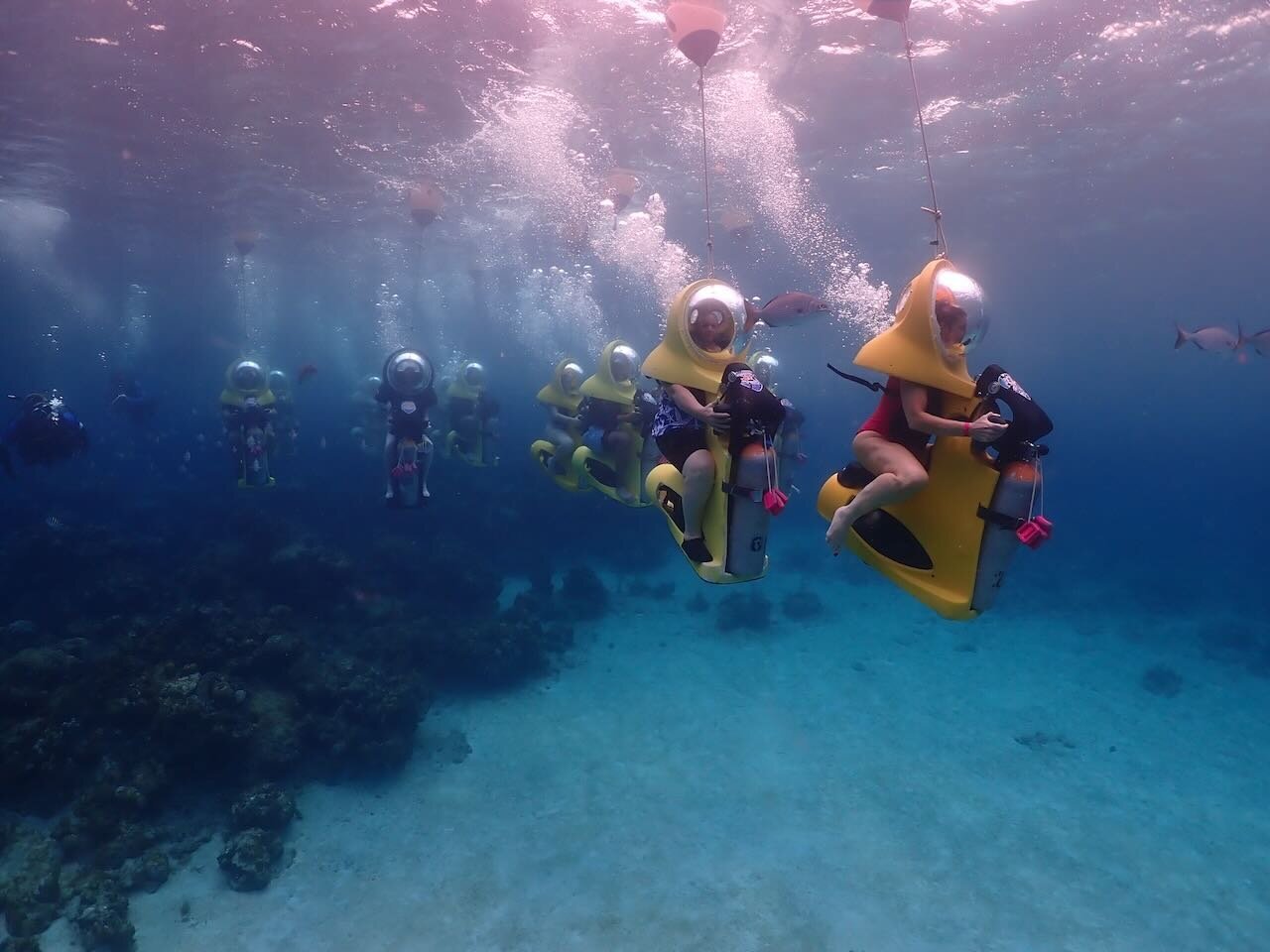 BOSS Underwater Adventure - Roatan - All You Need to Know BEFORE You Go ...