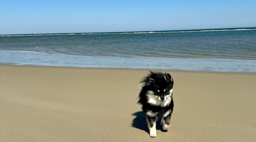Der riesige, menschenleere Hundestrand ist gut zu Fuß zu erreichen 