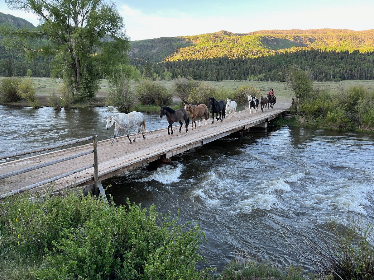 RAINBOW TROUT RANCH - Updated 2024 Reviews (Antonito, CO)