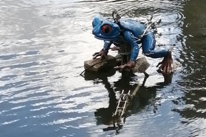Viaggiatori
