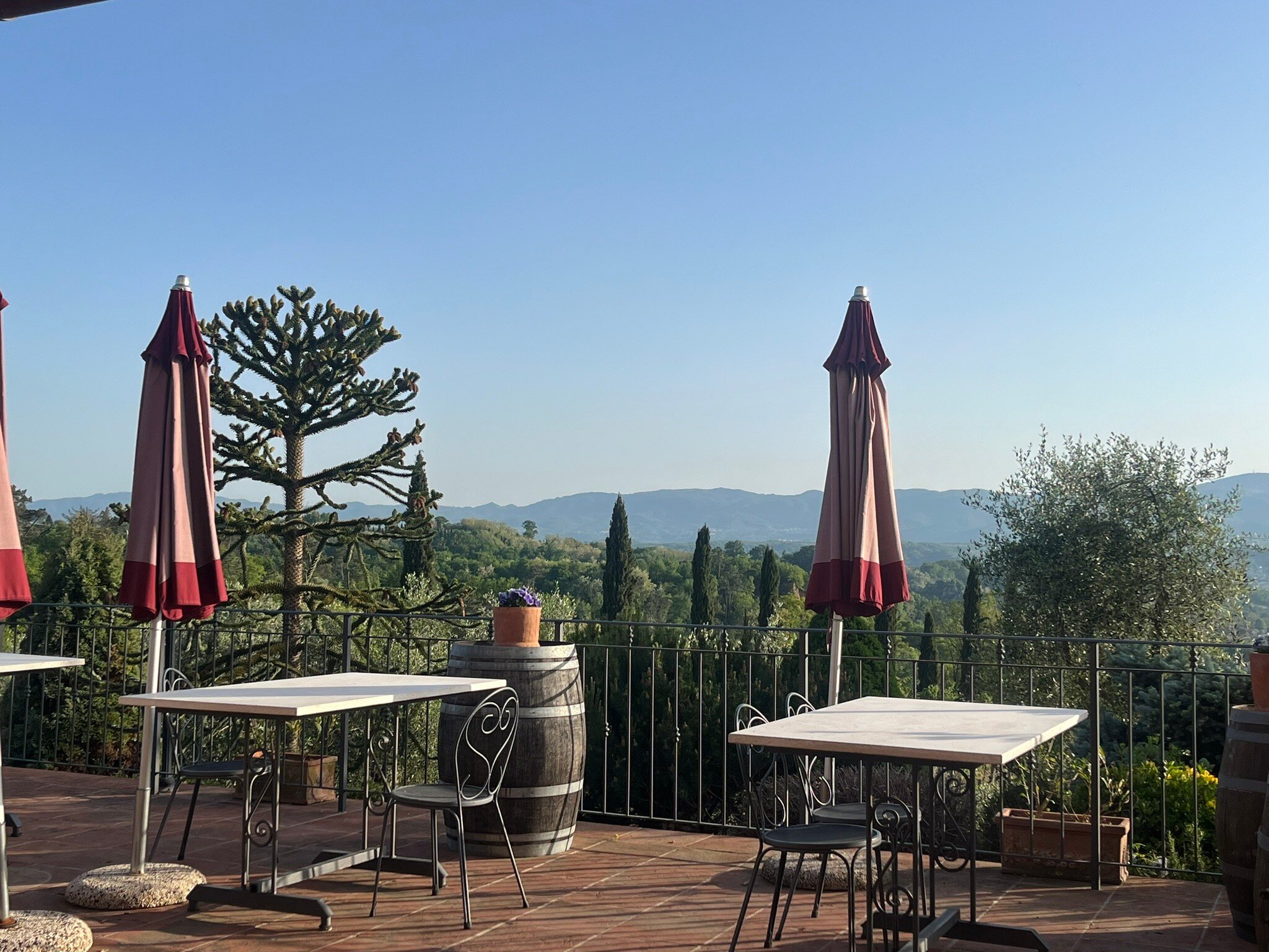 AGRITURISMO SAVERNANO - Updated 2024 Prices & B&B Reviews (Tuscany ...