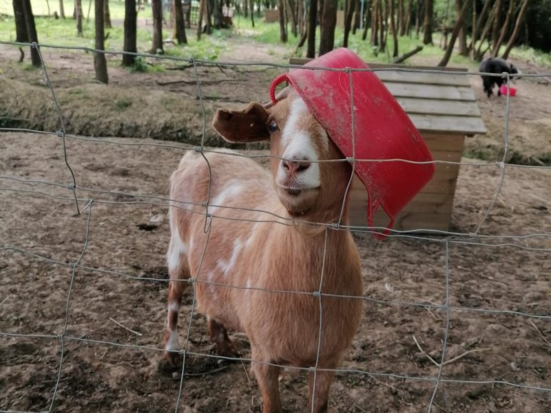 Smiles Sensory And Family Farm Limited - Eridge - Smiles Sensory And Family Farm Limited의 리뷰 - 트립어드바이저
