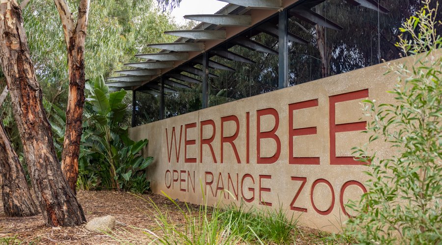 Werribee Open Range Zoo