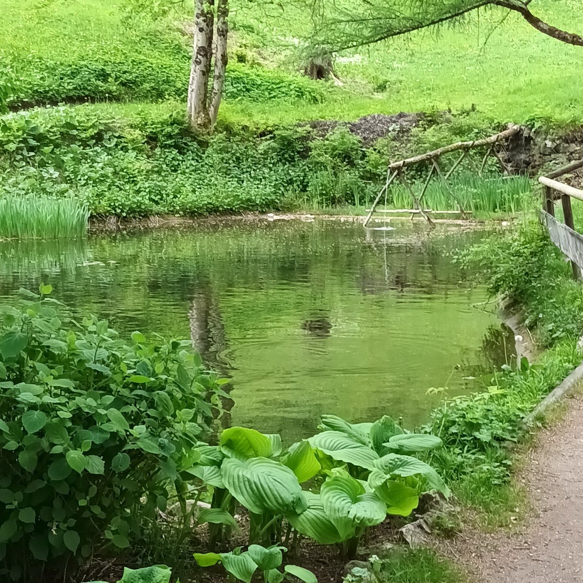 Oberer Forellen Teich (Mittenwald) Lohnt es sich? Aktuell für 2025