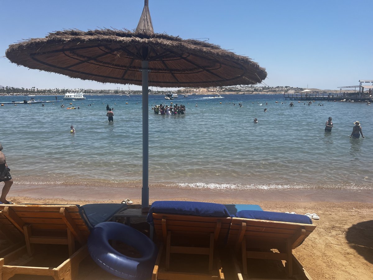 MARINA SHARM HOTEL (Египет/Шарм-эль-Шейх) - отзывы, фото и сравнение цен -  Tripadvisor