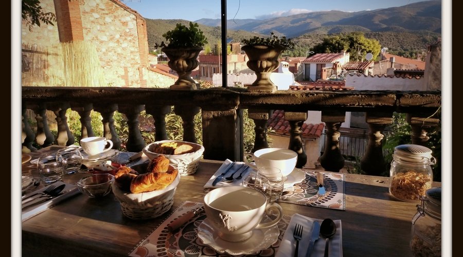 petit déjeuner terrasse