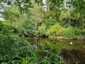 Reisende