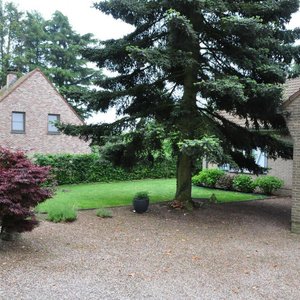 Garden.