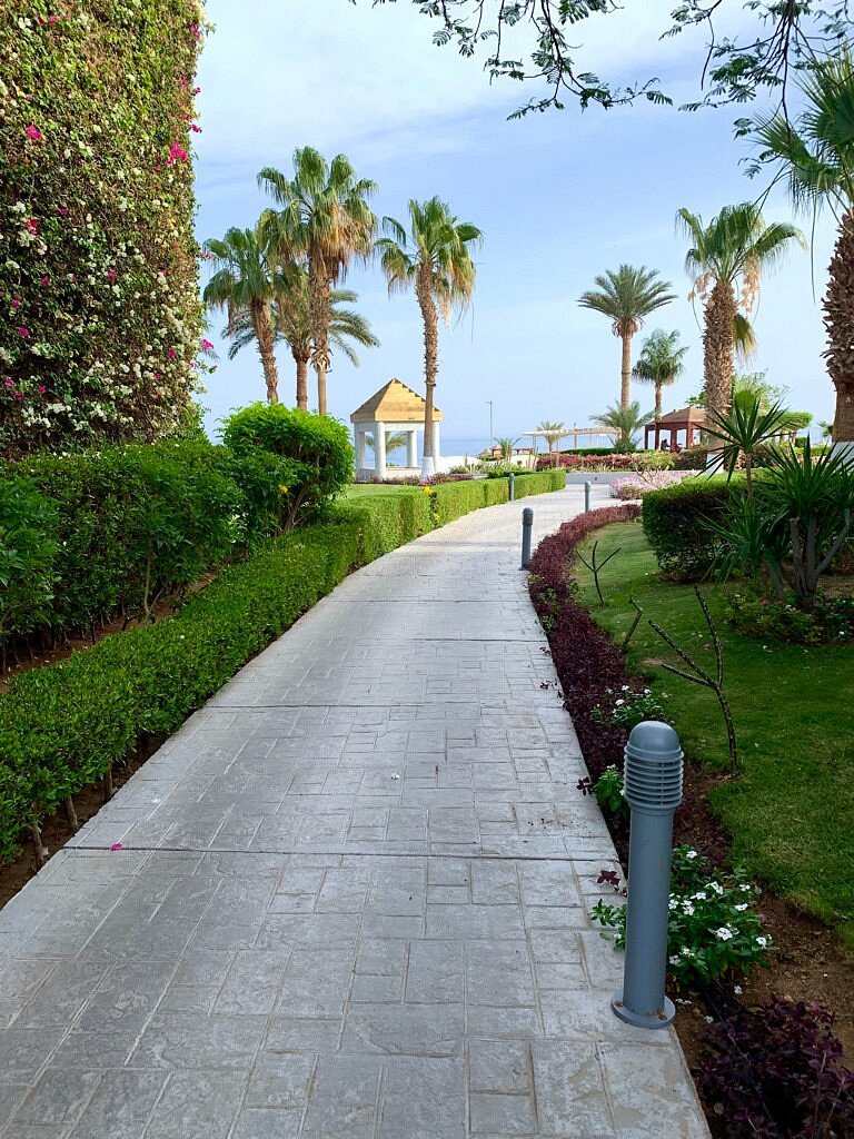 MONTE-CARLO SHARM RESORT & SPA (Египет) - отзывы, фото и сравнение цен -  Tripadvisor