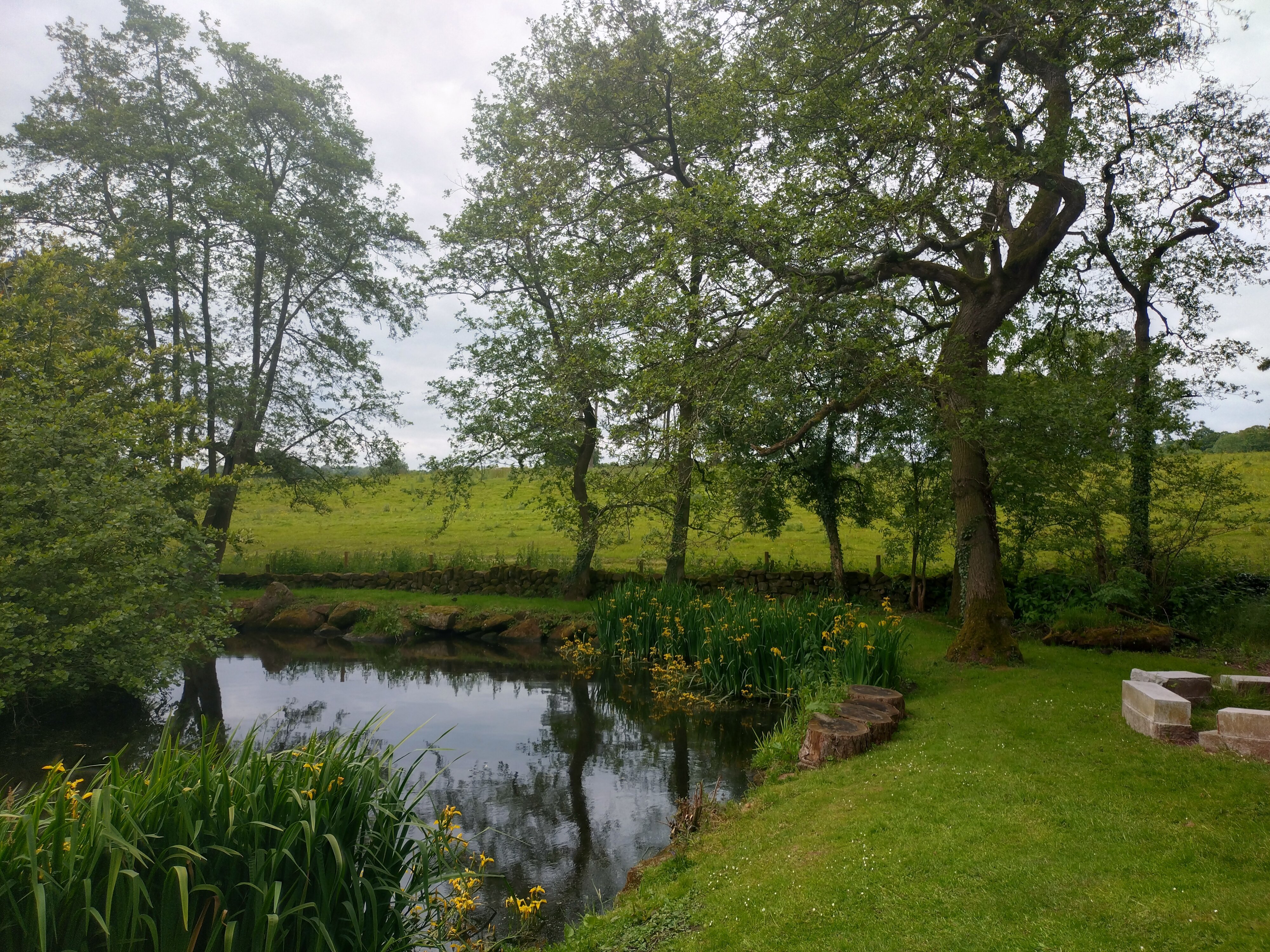 CHAINED OAK FARM B&B (ALTON, INGLATERRA): 400 Fotos E Avaliações ...