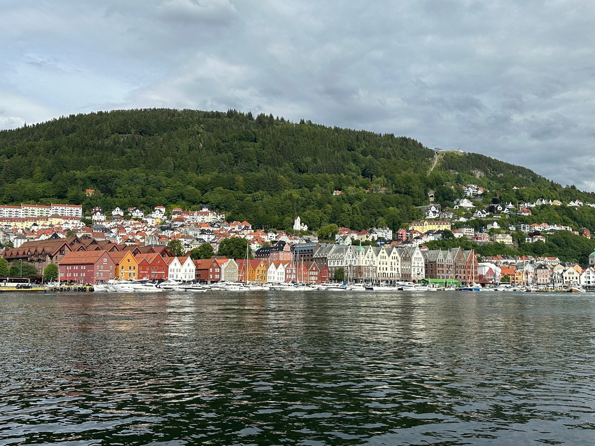 Bergen Driver Guide - 베르겐 - Bergen Driver Guide의 리뷰 - 트립어드바이저
