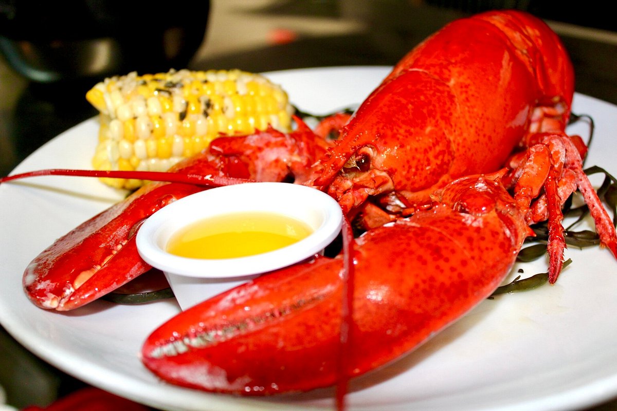 TESTA'S BAR & GRILL, Bar Harbor Updated 2024 Restaurant Reviews, Menu TESTA'S BAR & GRILL, Bar Harbor Updated 2024 Restaurant Reviews, Menu