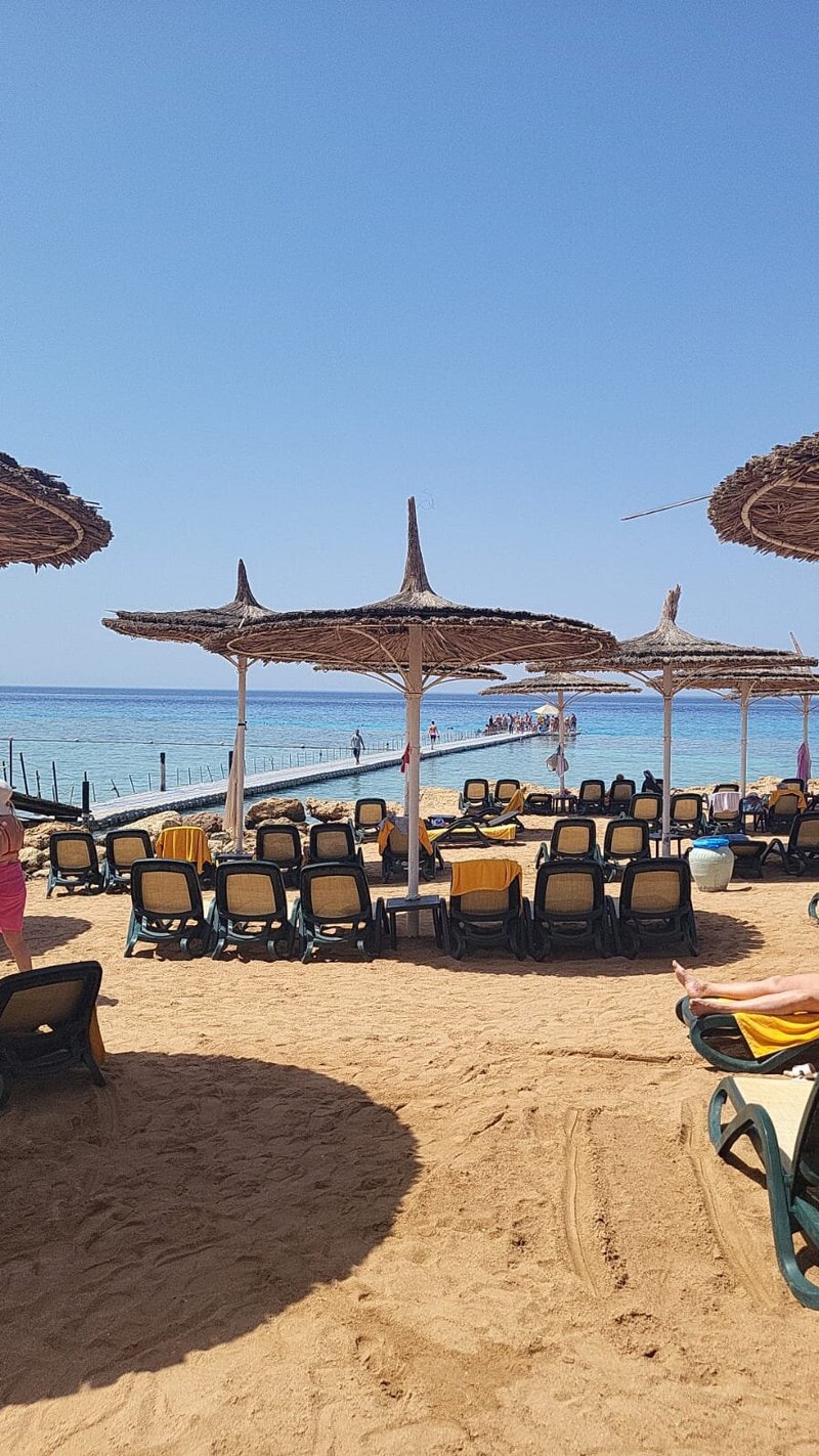 REEF OASIS BEACH RESORT (Египет/Шарм-эль-Шейх) - отзывы, фото и сравнение  цен - Tripadvisor