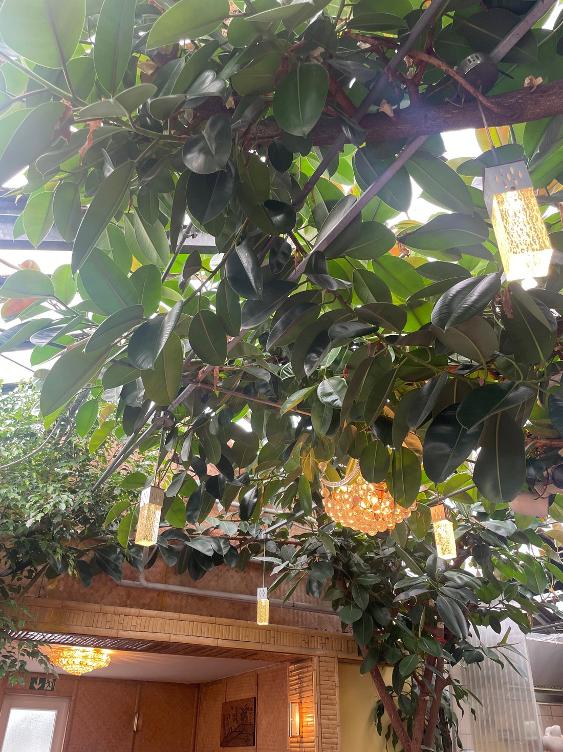 BAMBUSGARTEN, Düsseldorf Restaurant Bewertungen, Telefonnummer