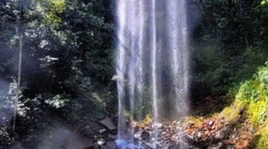 Cachoeira da Cortina - Vale dos Pássaros - Pousada seu Davi 