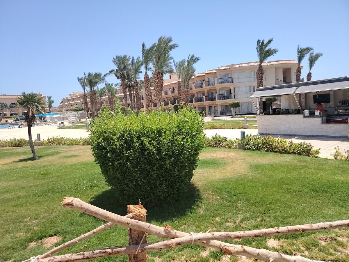 PYRAMISA BEACH RESORT SAHL HASHEESH (Хургада) - отзывы, фото и сравнение  цен - Tripadvisor