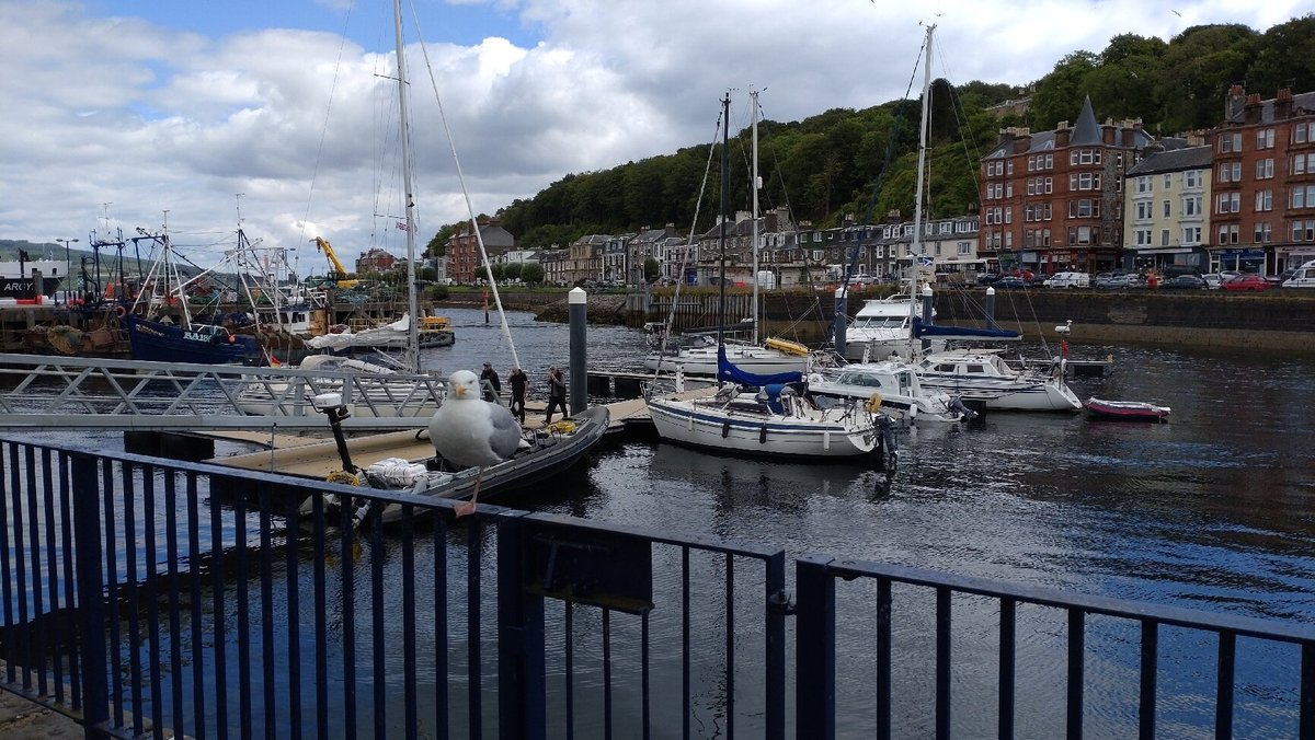 Rothesay: лучшие советы перед посещением - Tripadvisor