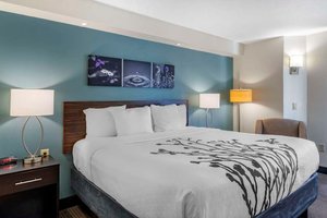 Room & Suite