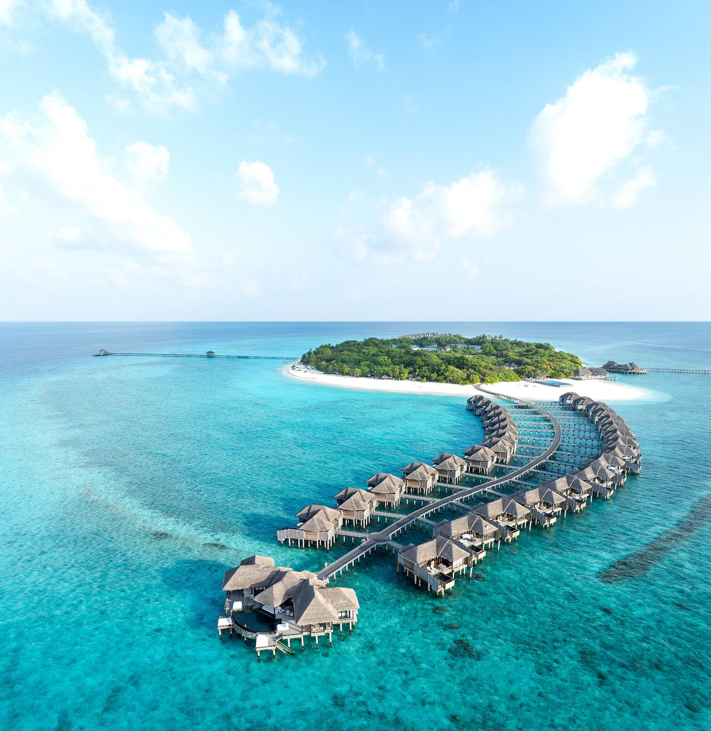 ja-manafaru-maldives-diving-pictures-reviews-tripadvisor