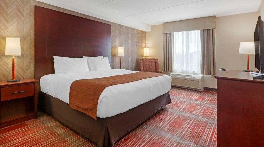 1 King Bed