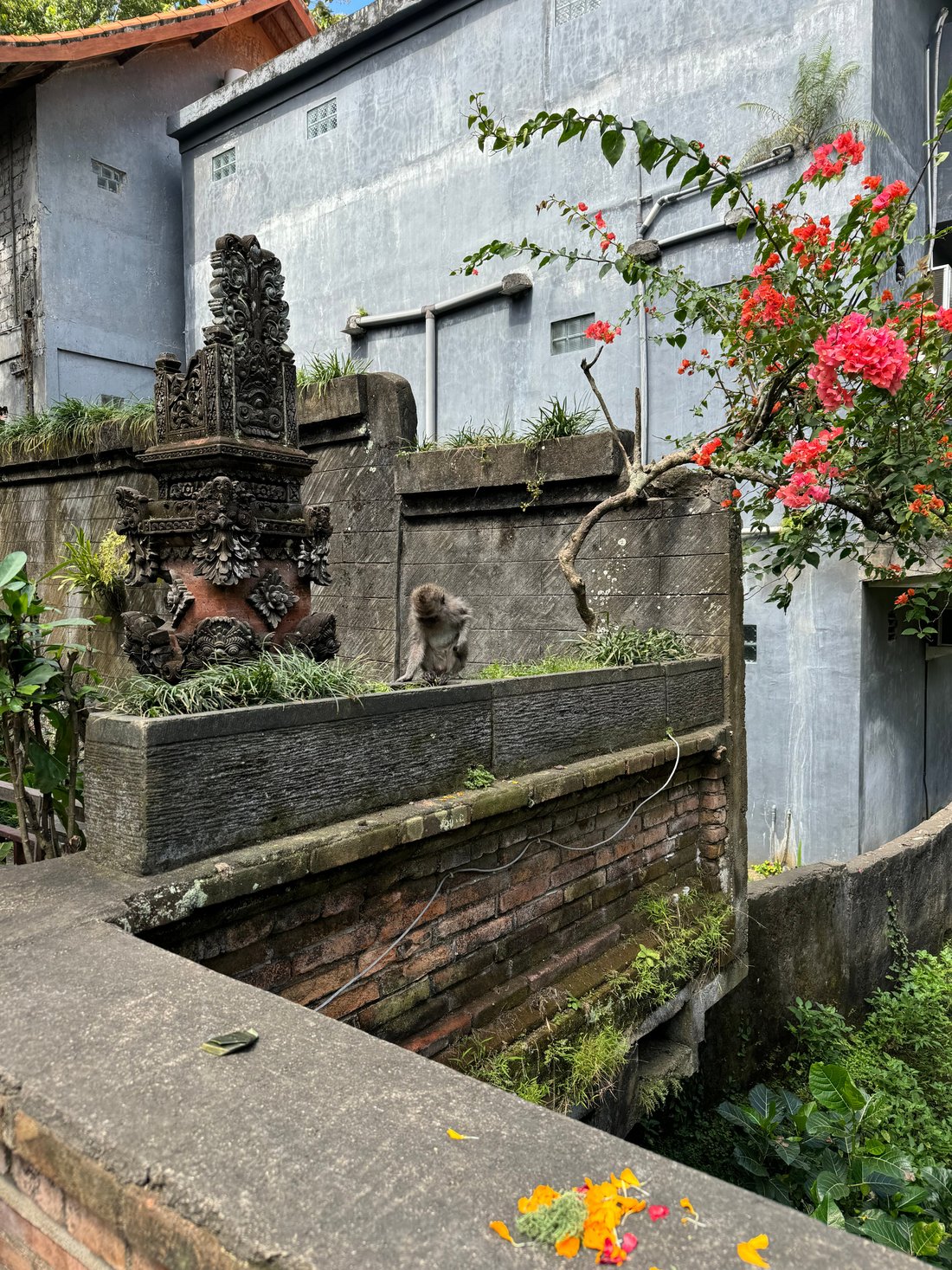 UBUD TERRACE BUNGALOWS (Убуд) - отзывы, фото и сравнение цен - Tripadvisor