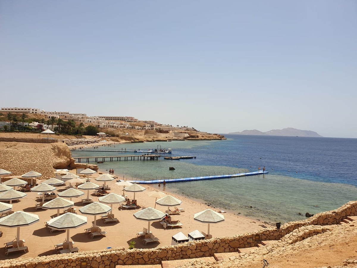 DOMINA CORAL BAY RESORT , DIVING , SPA & CASINO $79 ($̶1̶5̶3̶) - Updated  2024 Prices & Reviews - Sharm El Sheikh, Egypt