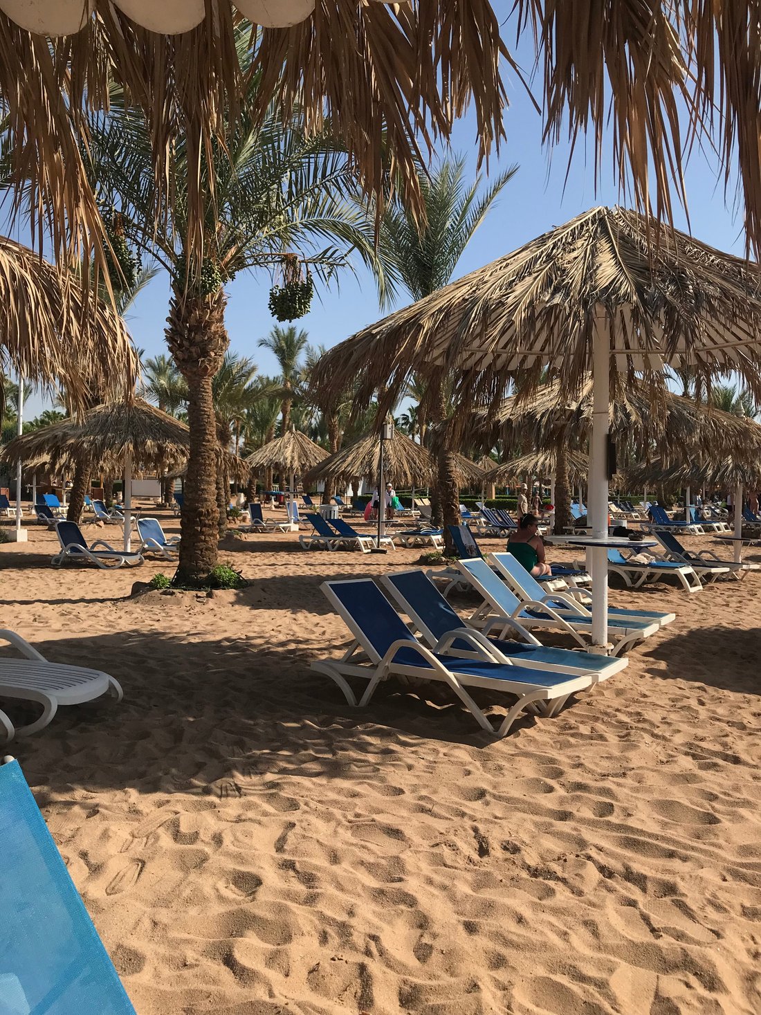 JAZ FAYROUZ RESORT (Египет) - отзывы, фото и сравнение цен - Tripadvisor