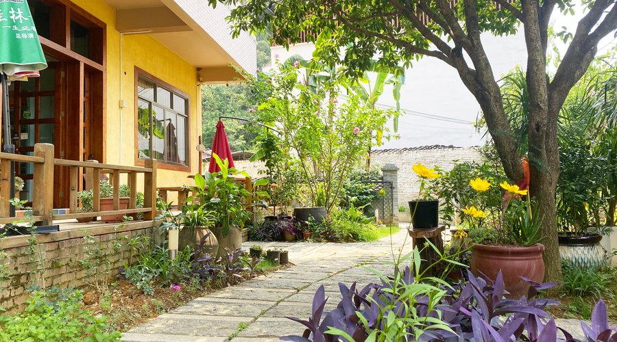 Relaxing Garden