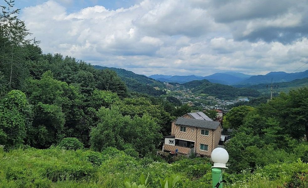 경기도잣향기푸른숲 - 가평 - 경기도잣향기푸른숲의 리뷰 - 트립어드바이저