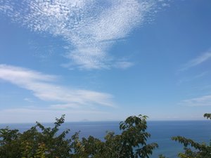 旅行者の写真