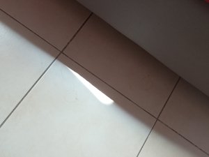 Viaggiatori