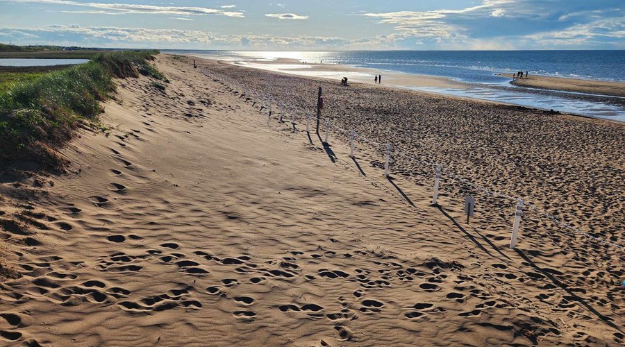 Aboiteau Beach