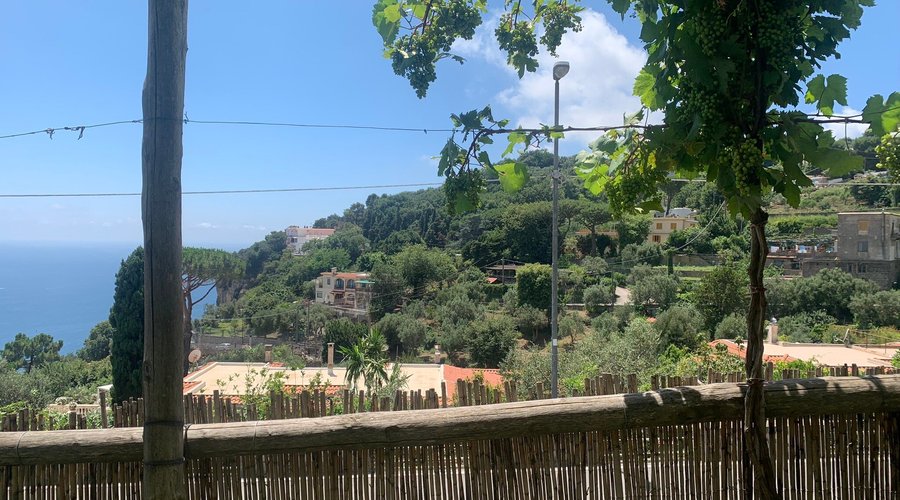 IL MONTANO, Piano di Sorrento - Restaurant Reviews, Photos & Phone Number - Tripadvisor