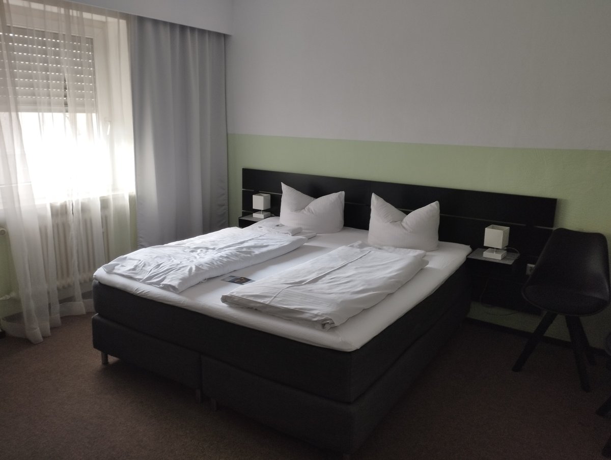 HOTEL GOLDENER FALKE - Updated 2024 Prices & Reviews (Heidelberg, Germany)