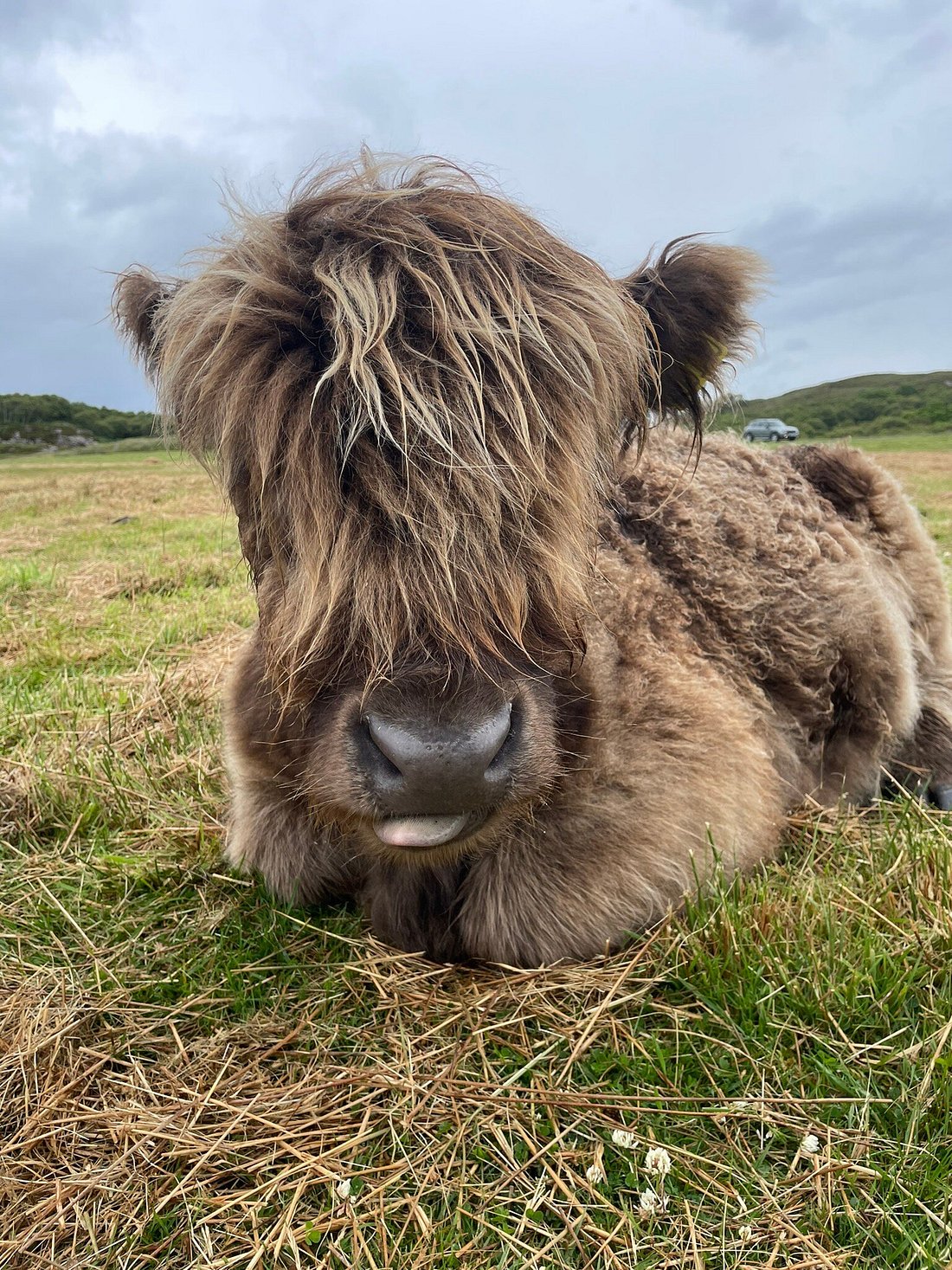 THE CROFT CAFE, Duirinish - Restaurant Reviews, Photos & Phone Number ...