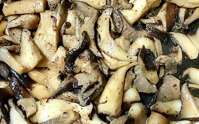 Funghi cardoncello
