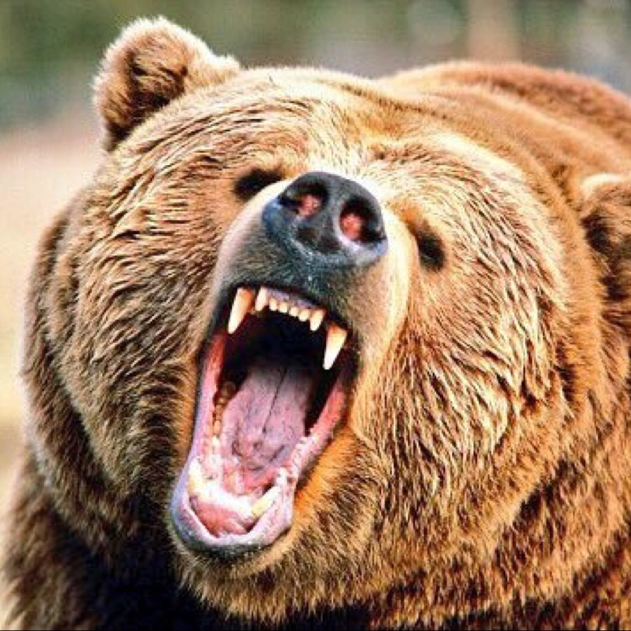 White Bear