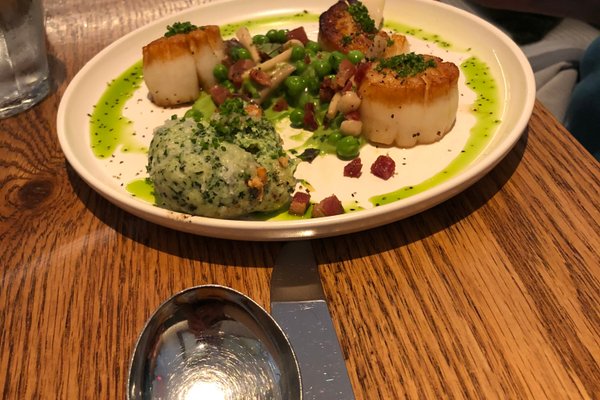 Discover the Best Restaurants in Ridley Park, PA