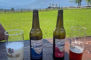 Bebidas