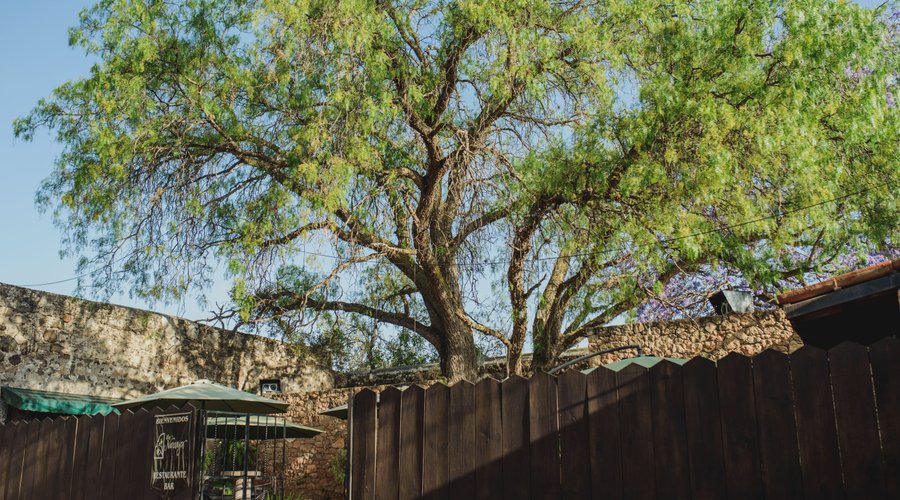 La naturaleza es pàrte de nosotros.