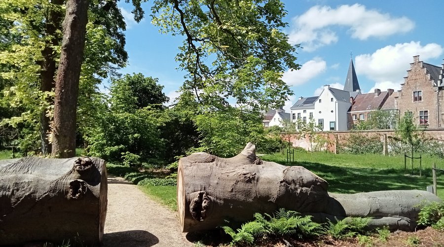 Silence garden near Sint Truiden refuge. Mechelen. Flanders, Belgium. May 2024
