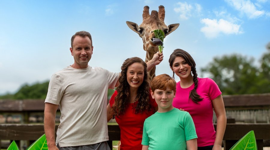 This Doesn't Suck - Fun Family Vacation T-Shirt