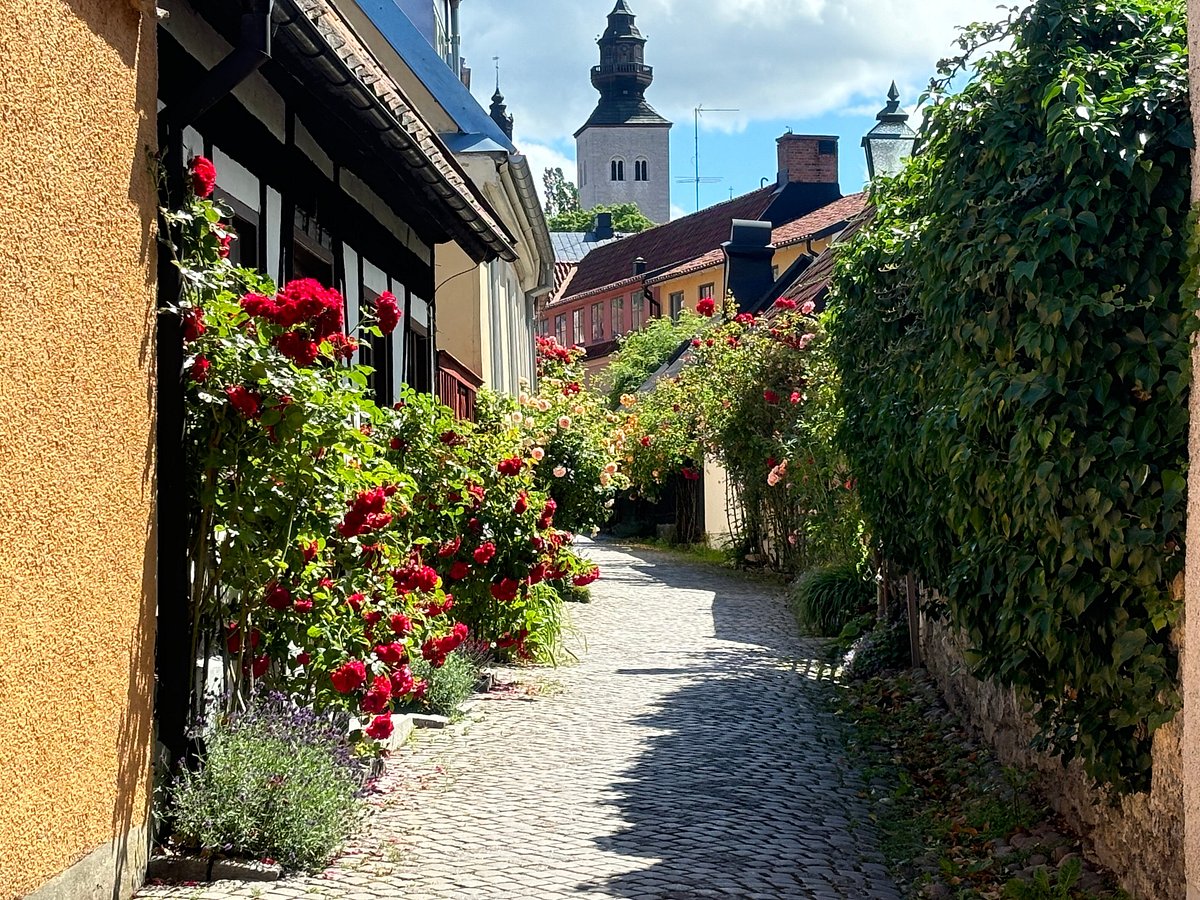 Free Tours Visby - All You MUST Know Before You Go (2024)