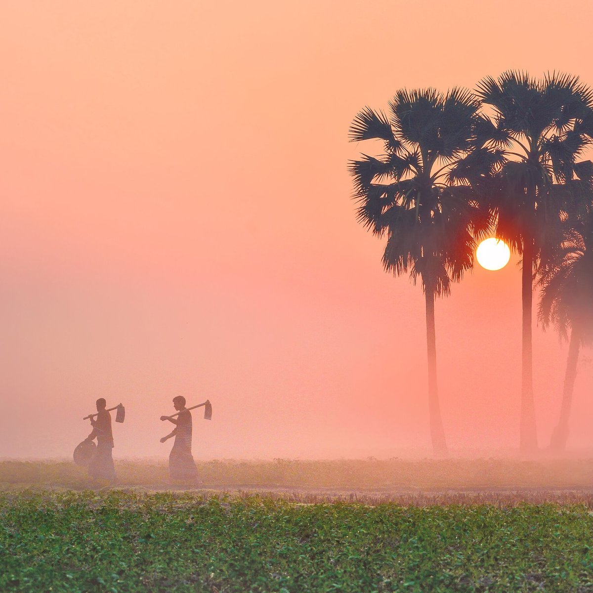 Its Bangladesh (Dhaka City) - Alles wat u moet weten VOORDAT je gaat ...