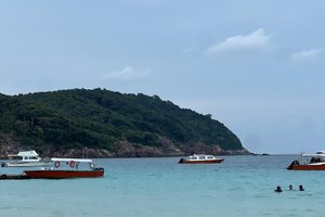 Wisatawan