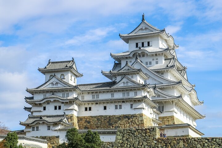Azuki Museum (2025) - All You Need to Know BEFORE You Go